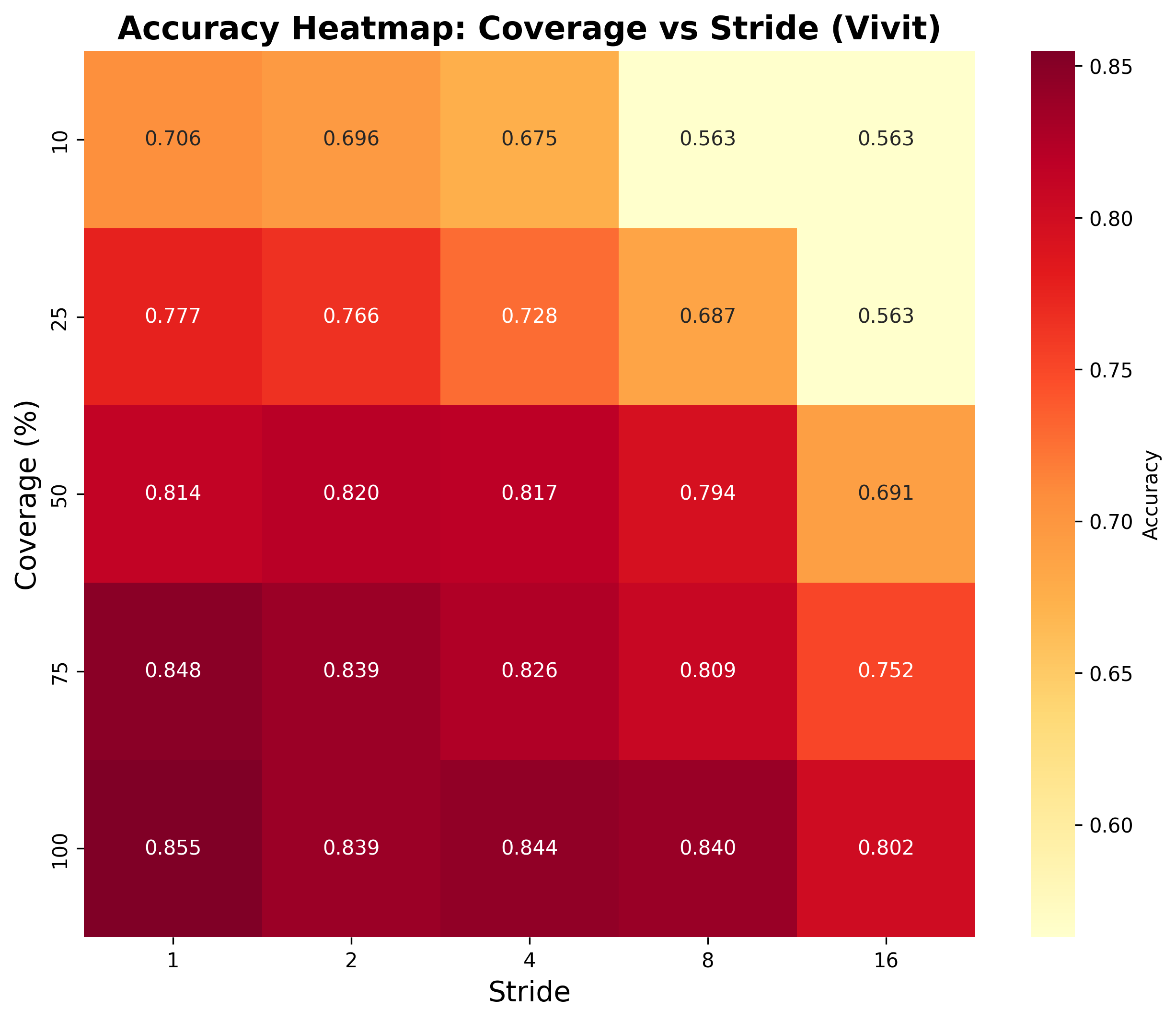 UCF-101 ViViT Heatmap